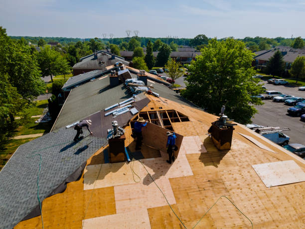 Trusted Emergency Roof Repair service in West Hollywood, CA - Brentwood Metal Roofing